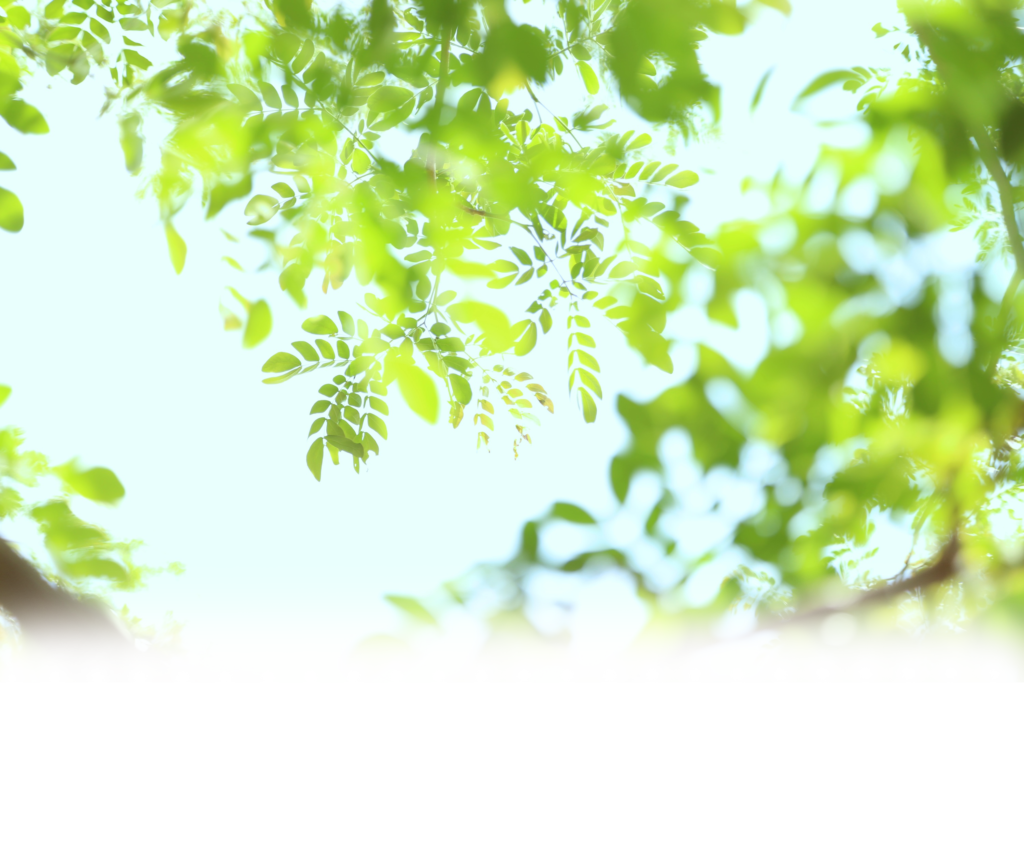 みのうクリニック