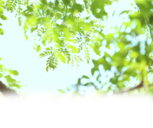 みのうクリニック